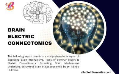 Brain Electric Connectomics