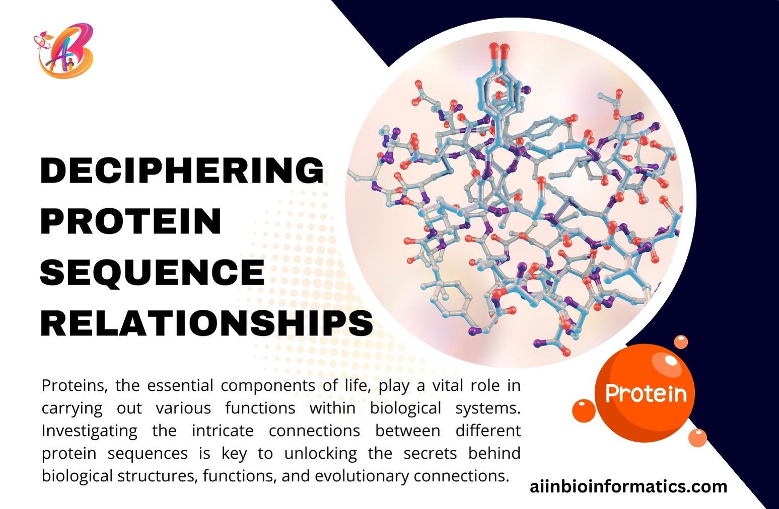 Deciphering Protein Sequence Relationships - aiinbioinformatics