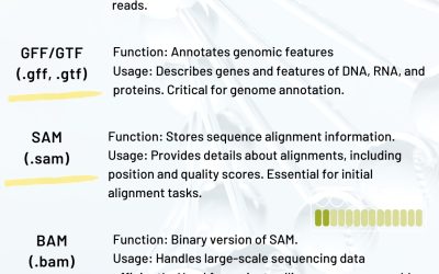 Bioinformatics essential file formats and functions
