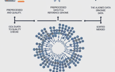 Understanding Genome Assembly Using De Bruijn Graphs: From Concepts to Code